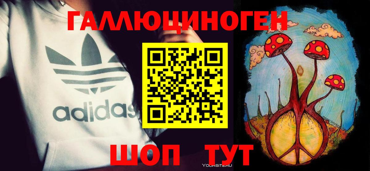 Лесной  Галлюциногенные грибы MAGIC MUSHROOMS  Вход с VPN  Псилоцибиновые грибы Cubensis 